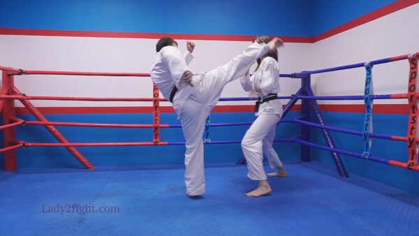 Michelle’s Martial Awakening - Image 15