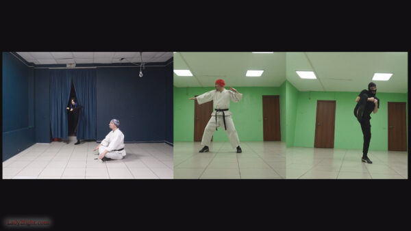 Karate ballet (s25e06). Daisy: Karate Squad Enforcer - Image 2