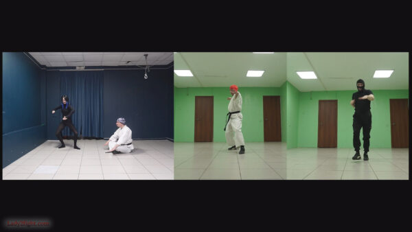 Karate ballet (s25e06). Daisy: Karate Squad Enforcer - Image 3