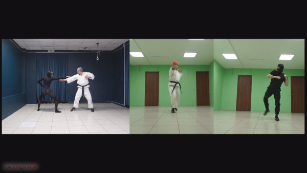 Karate ballet (s25e06). Daisy: Karate Squad Enforcer - Image 4