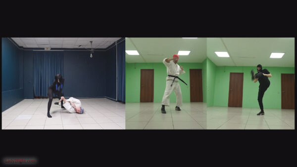 Karate ballet (s25e06). Daisy: Karate Squad Enforcer - Image 6