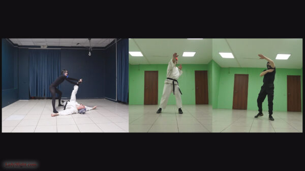 Karate ballet (s25e06). Daisy: Karate Squad Enforcer - Image 7