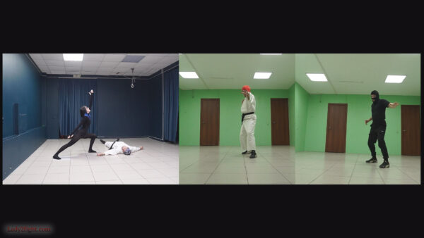 Karate ballet (s25e06). Daisy: Karate Squad Enforcer - Image 10