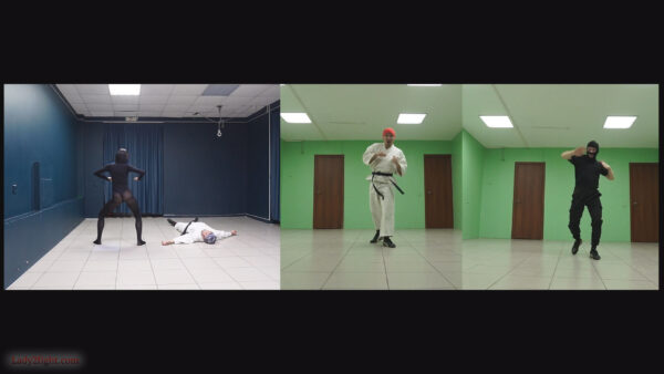Karate ballet (s25e06). Daisy: Karate Squad Enforcer - Image 13