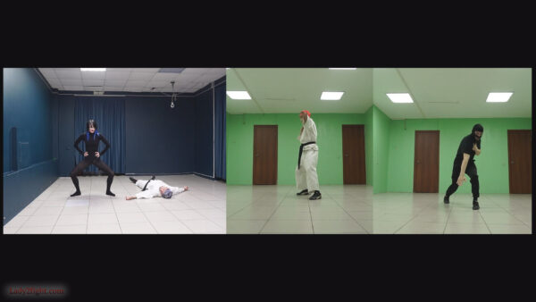 Karate ballet (s25e06). Daisy: Karate Squad Enforcer - Image 14