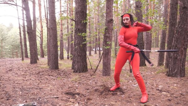 Red angel of Fury 2: Karina - Image 29
