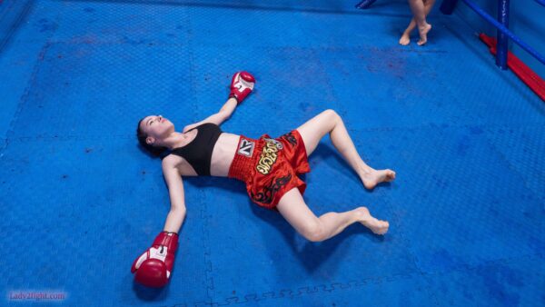 Takedown: The Knockout Collection - Image 34